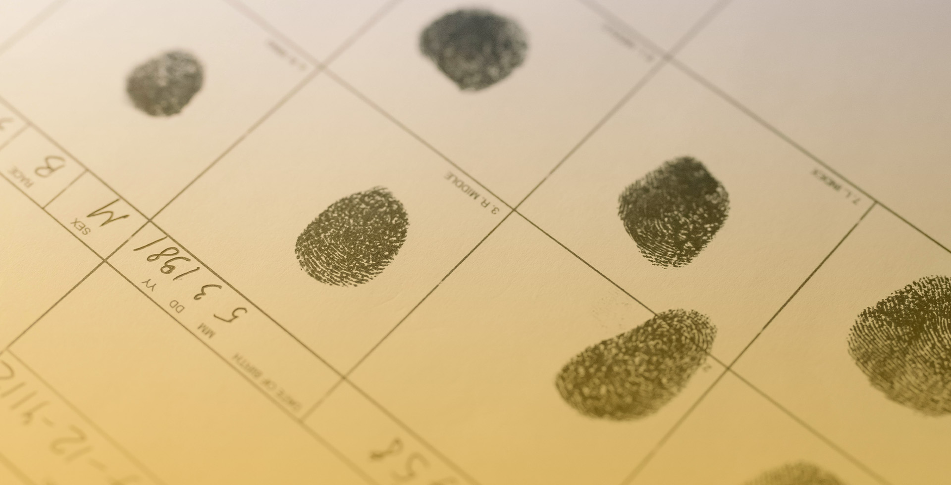 Background Investigations